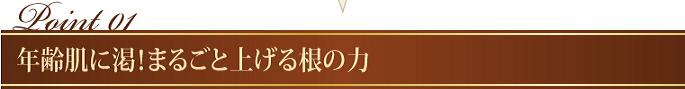 GIMGE RIFT 成分